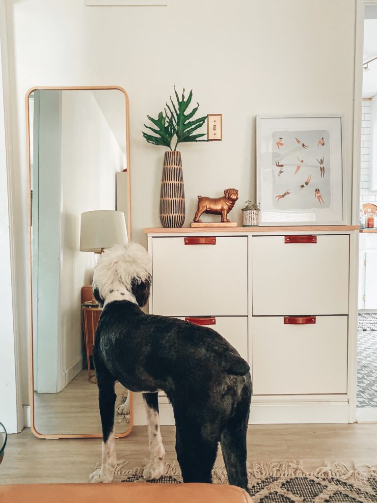 Ikea Shoe Cabinet Hack Stall The Blushing Bungalow with dog